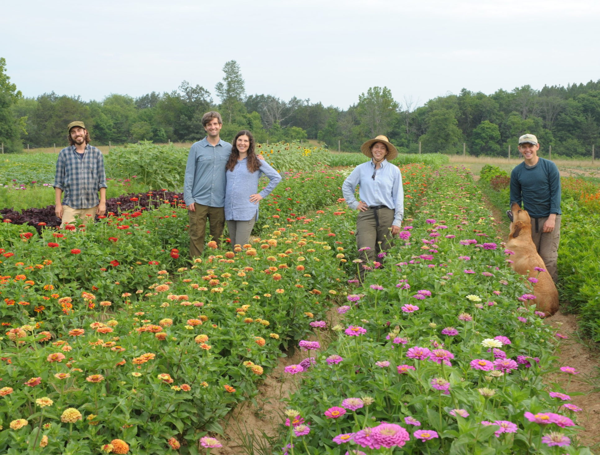 Employment Sweet Greens Farm